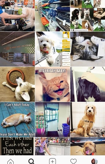 Instagram-Example-1 Instagram-Example-1