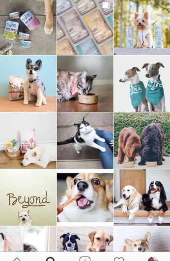 Instagram-Example-2 Instagram-Example-2
